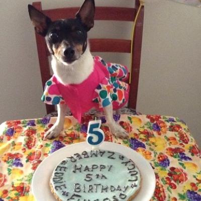 11903713 693414977430221 4317087996297287856 N