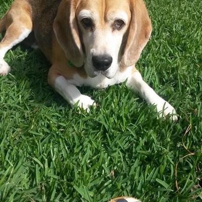 12044020 10204518682919295 329716760 O