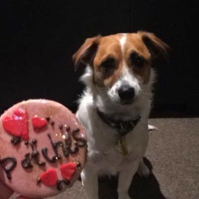 12140564 1073672875977503 5737138506576086941 N Copy