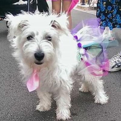 12744488 761695347268850 8411243966625221225 N