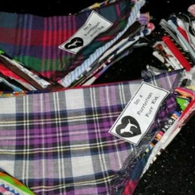 13310524 814637031974681 3250692856857627912 N Copy