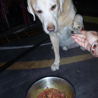 13434777 850982155001782 5181621668863433047 N Copy