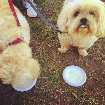 13620231 1747636028783764 4058909548154091689 N Copy