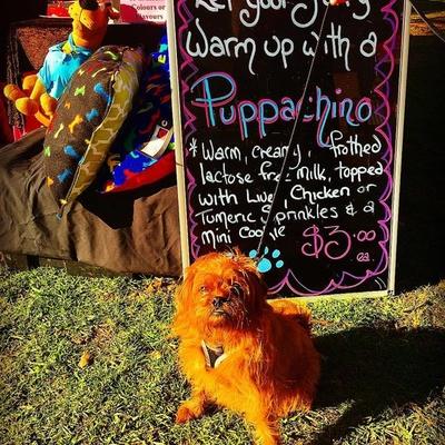 13770280 1751251198422247 8756583849051410480 N Copy