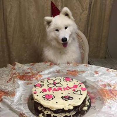 15226607 1289039167834729 2076123129 N