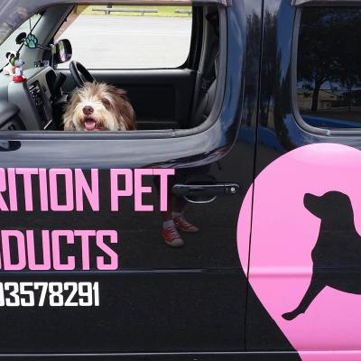 16121915 1259519220752478 1913950883 O