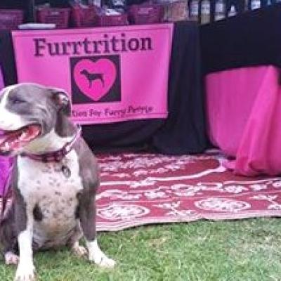 16298604 988826267889089 2097792824472947019 N