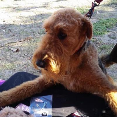 16387194 995223627249353 3296911256138564920 N