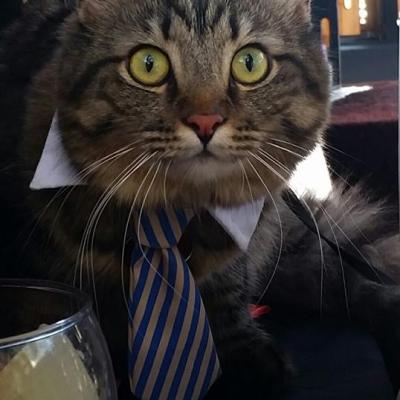 17904270 1055920327846349 7636282436017500614 N1