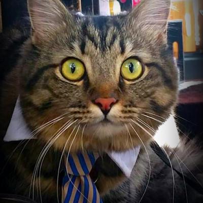 17904270 1055920327846349 7636282436017500614 N