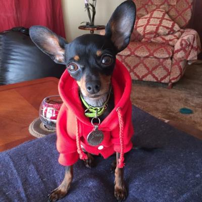 19399185 1116801701758211 7574618171869415128 N