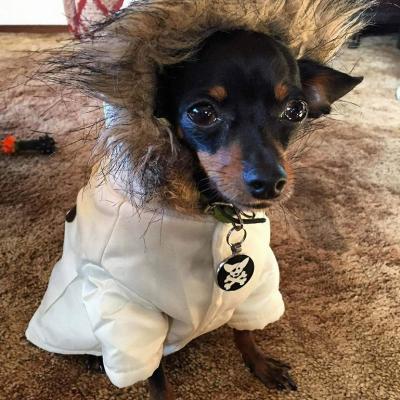 21728029 1181855711919476 8837063174091467601 N