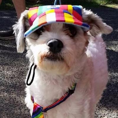 21740220 1181855758586138 4424532731256187067 N Edited