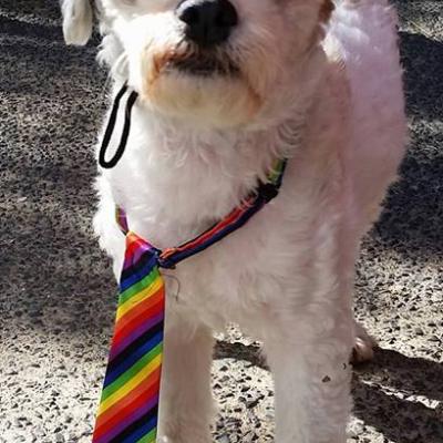 21740220 1181855758586138 4424532731256187067 N