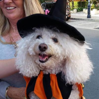 22366303 1513544652016599 6271730553568630762 N