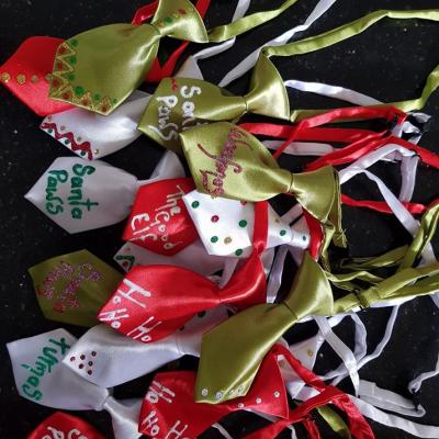 22550018 1209283232510057 8598175570288197923 N