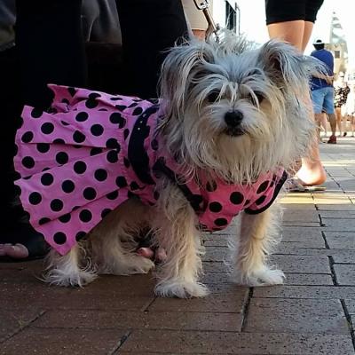 23131951 1222716727833374 1876807118624363376 N