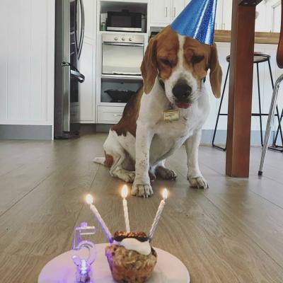 37698556 1477433912361653 67856029395714048 N