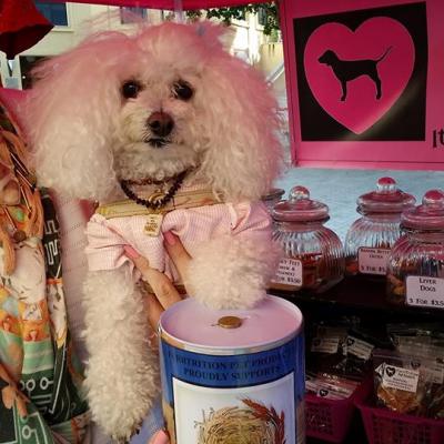 38178433 1491583547613356 4504391748188897280 N