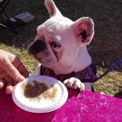 39453489 1518712904900420 4181746885721063424 N