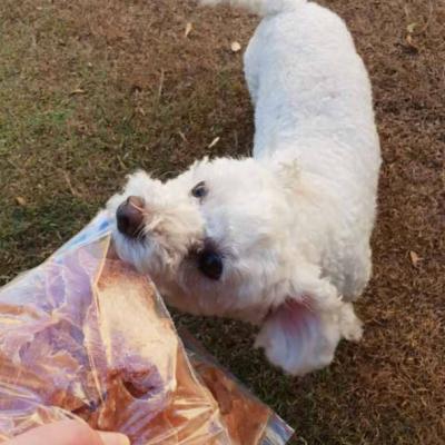 51081749 1727842503987458 8338664891921465344 N