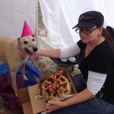 984070 505469872891400 33616105684353158 N