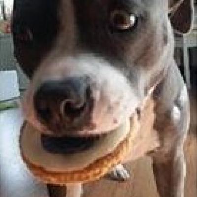 C83069fb180866ab09a42e5a69845b9c Copy